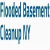 Flooded Basement Clean Up Long Island